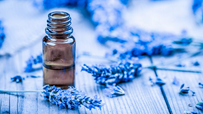 Herbal oil and lavender flowers on wooden background